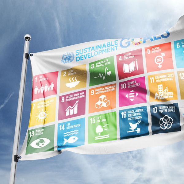 Official SDGs Thermal Water Bottle – UNDP Shop