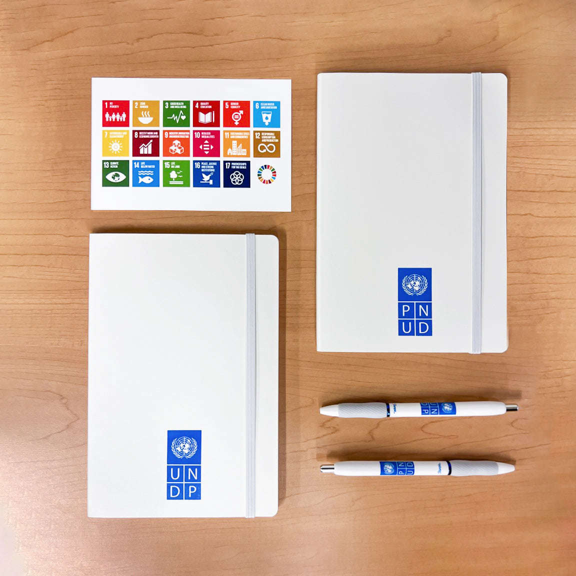 Undp Pin Official UNDP / PNUD Pens (two-pack) | UNDP Shop