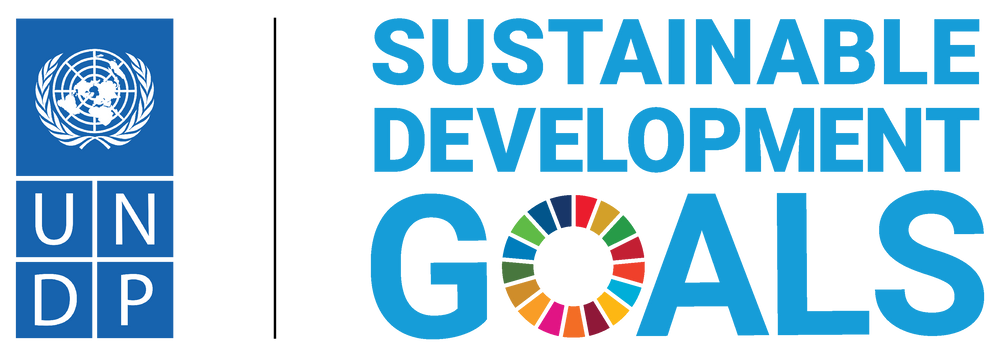 Undp