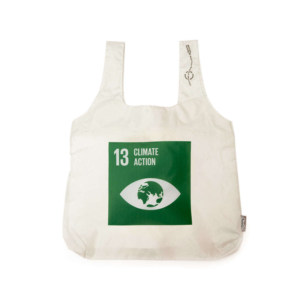 https://shop.undp.org/cdn/shop/products/climate-action-recycled-bagundp-shop-united-nations-development-programme-Goal-13_1a1cc980-2dd6-4228-9ad1-bccc12f7dd16_1000x1000.jpg?v=1669920541